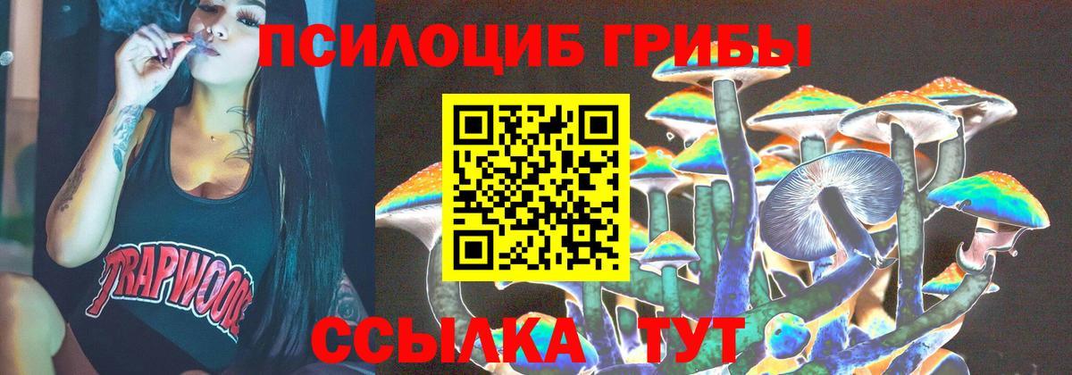 Псилоцибиновые грибы Cubensis  Вход с VPN  Луховицы  Галлюциногенные грибы MAGIC MUSHROOMS 